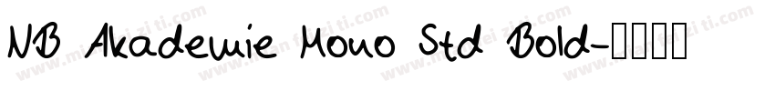 NB Akademie Mono Std Bold字体转换